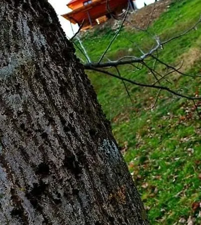 Semesterbostad Etno Kuca Ostrvica *