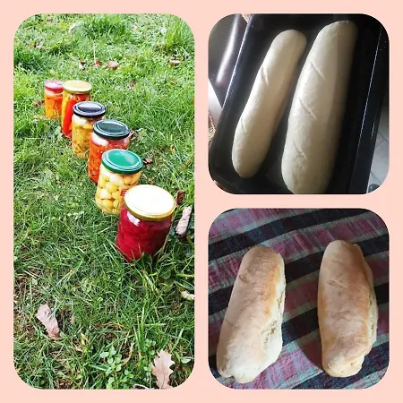 Etno Kuca Ostrvica Semesterbostad *