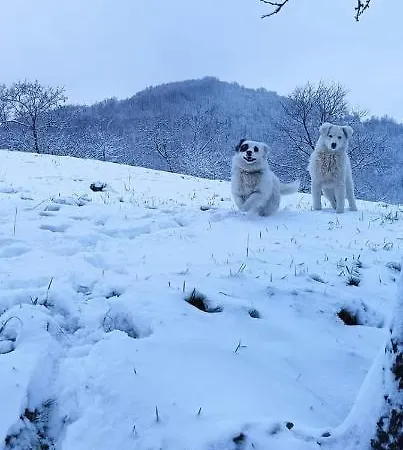 Semesterbostad Etno Kuca Ostrvica