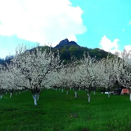Etno Kuca Ostrvica * Varnice