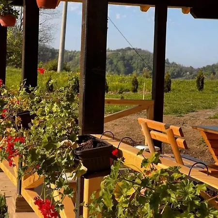 Etno Kuca Ostrvica Casa de Férias Varnice