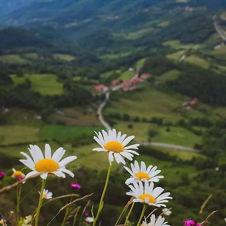 Etno Kuca Ostrvica * Varnice