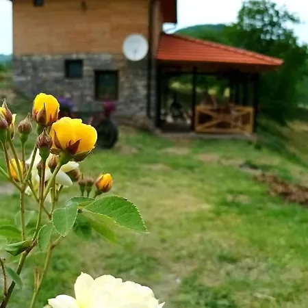 Semesterbostad Etno Kuca Ostrvica *