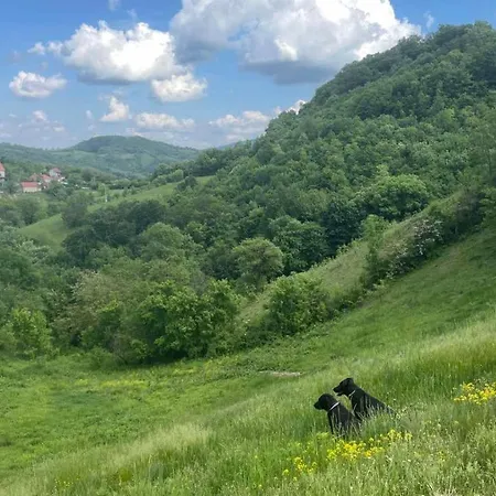 Casa de Férias Etno Kuca Ostrvica Varnice