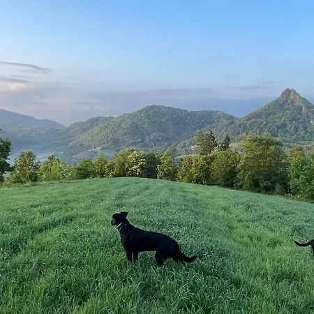Casa de Férias Etno Kuca Ostrvica