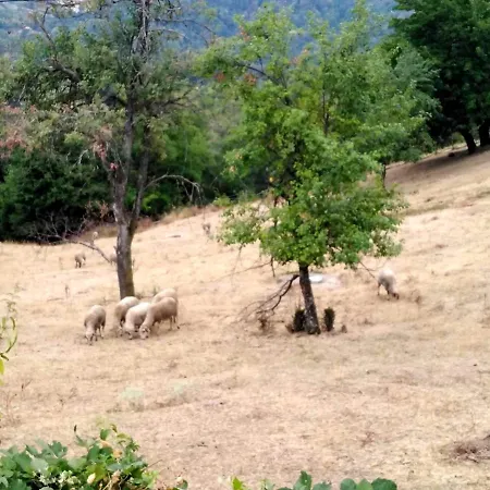 Semesterbostad Etno Kuca Ostrvica Varnice