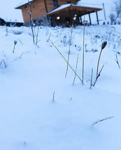 Etno Kuca Ostrvica *