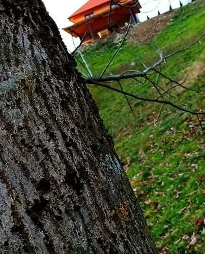 Casa vacanze Etno Kuca Ostrvica *