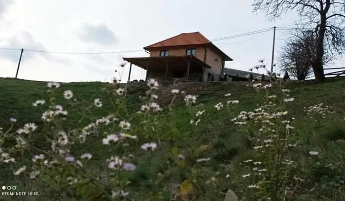 Etno Kuca Ostrvica 펜션 Varnice