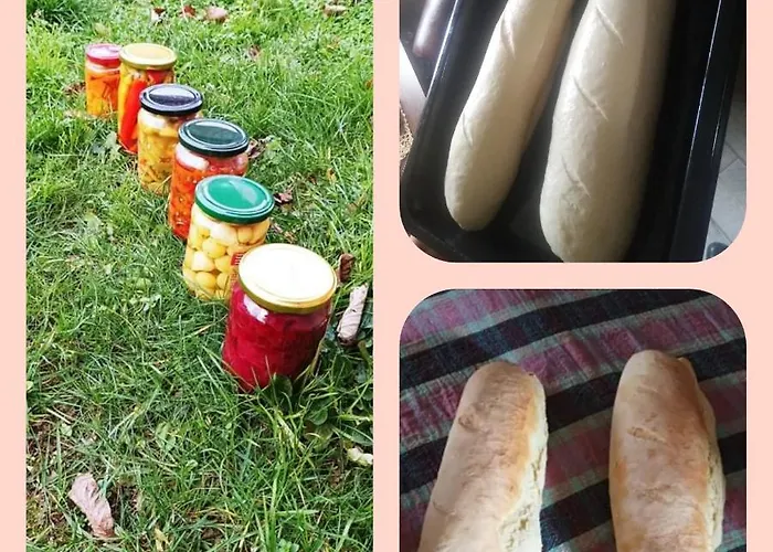 Etno Kuca Ostrvica Casa vacanze *