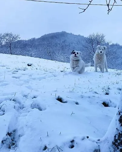 Casa vacanze Etno Kuca Ostrvica
