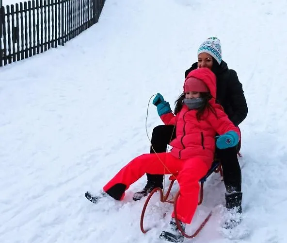 Etno Kuca Ostrvica 펜션