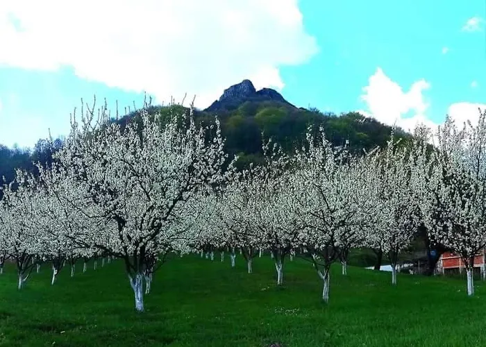 Etno Kuca Ostrvica * Varnice