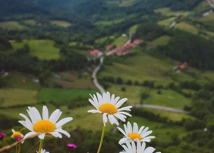 Etno Kuca Ostrvica * Varnice