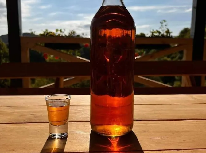 Etno Kuca Ostrvica 펜션 *