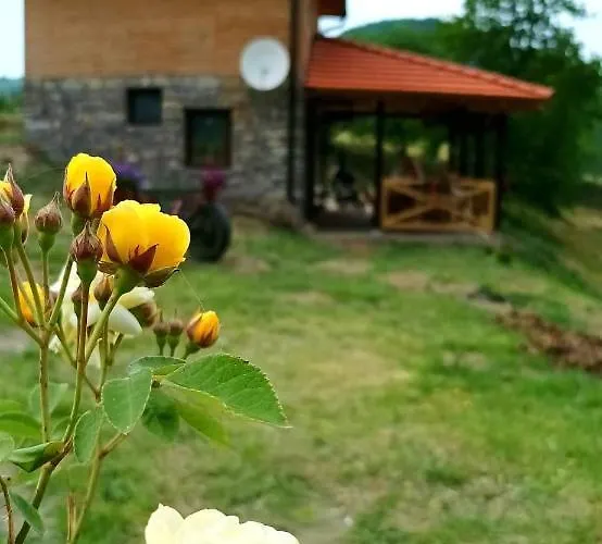 Casa vacanze Etno Kuca Ostrvica *