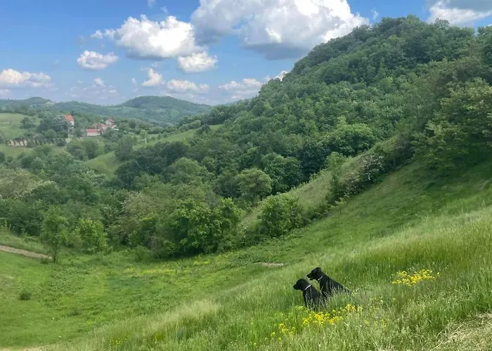 펜션 Etno Kuca Ostrvica Varnice