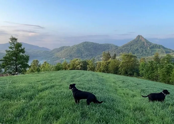 Casa vacanze Etno Kuca Ostrvica
