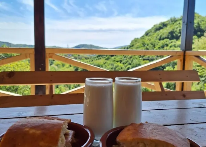 펜션 Etno Kuca Ostrvica